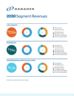 2020 Segment Revenues